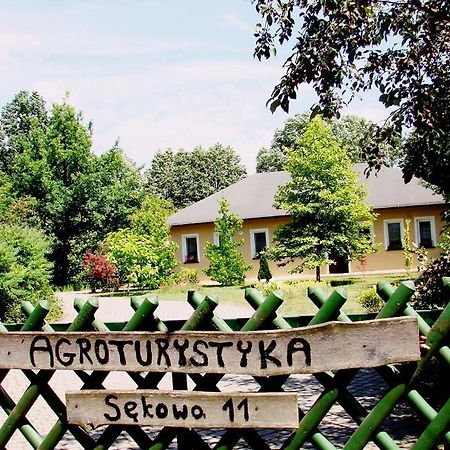 Agroturystyka Pod Modrzewiami Nowy Tomyśl Εξωτερικό φωτογραφία