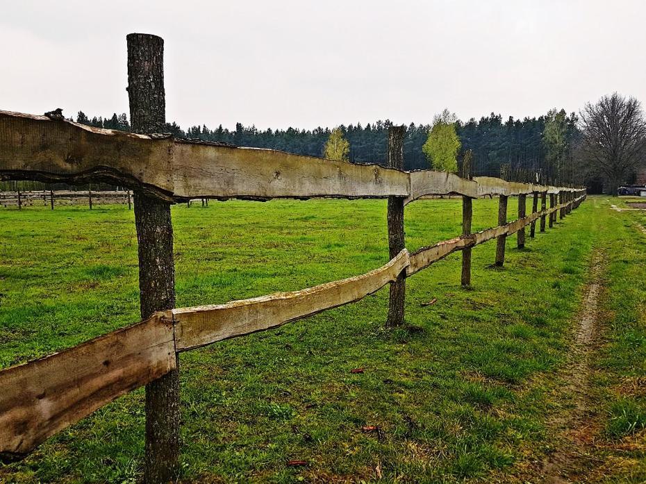 Agroturystyka Pod Modrzewiami Nowy Tomyśl Εξωτερικό φωτογραφία