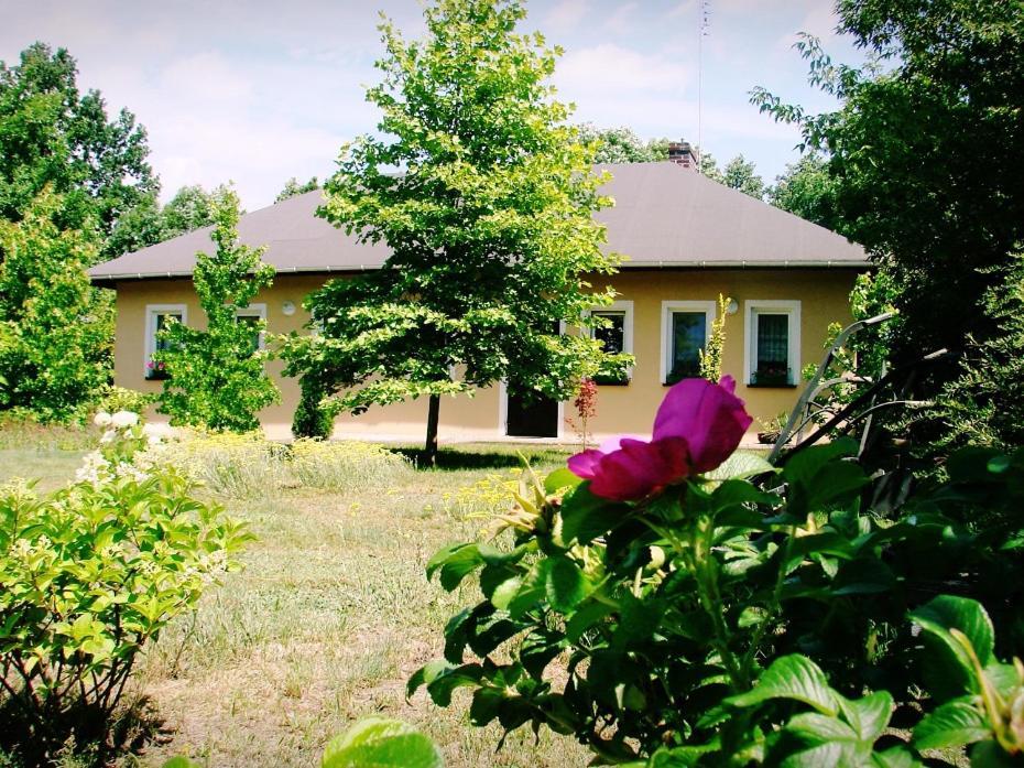 Agroturystyka Pod Modrzewiami Nowy Tomyśl Εξωτερικό φωτογραφία